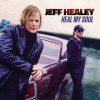 Jeff Healey - Heal My Soul Cover Art